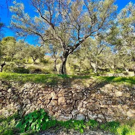 Casa rural La Esperanza Granada Luxury Hacienda&private